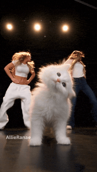 Dance Dancing GIF