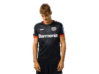 Bayer 04 Werkself Sticker by Bayer 04 Leverkusen