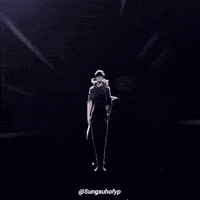 Solo Leveling Sung GIF