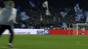 Happy Football GIF by FC Schalke 04