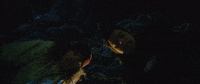 looking down hayley williams GIF by Polyvinyl Records