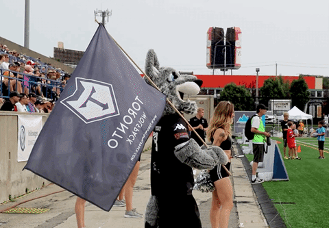 come on flag GIF by Toronto Wolfpack