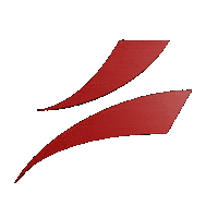 Logo Switzerland Sticker by Swiss Dodgeball