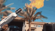 GIF by Shoreline Mafia
