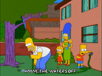 homer simpson GIF