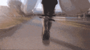 Punk Moth GIF by LIA LIA