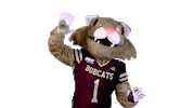 Boko Sticker by Texas State University