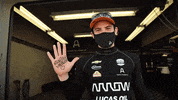 Indy 500 Racing GIF by Arrow McLaren IndyCar Team