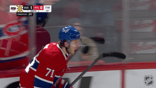 Happy Montreal Canadiens GIF by NHL