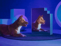 Today I Will Do My Very Best...