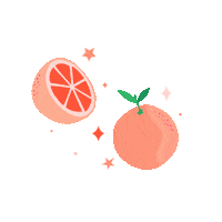 Pink Grapefruit Nafstuff Sticker by NAF! Stuff Limited