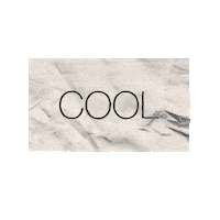Text Paper Sticker