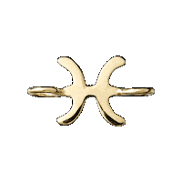 Zodiac Sticker by Brave Daughters