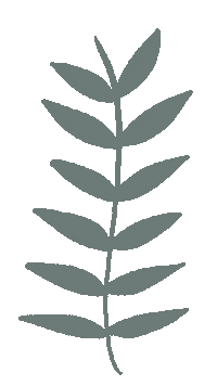 Leaf Boho Sticker