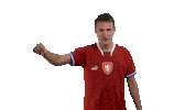 Celebration Sticker by 2score