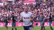 london football GIF by Tottenham Hotspur