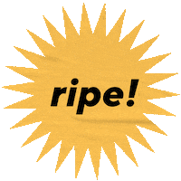 Work From Home Hearts Sticker by Wanderland Festival