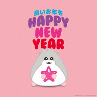 Excited New Year GIF by hamsta.world