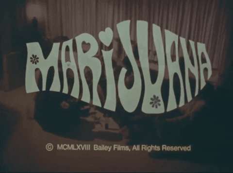 Reefer Madness Weed GIF by Hash Museum