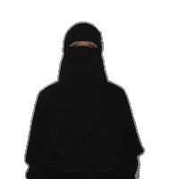Woman Ninja Sticker by Fynntri