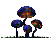 Magic Mushroom Rainbow Sticker