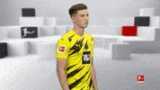 Posing Line Up GIF by Bundesliga