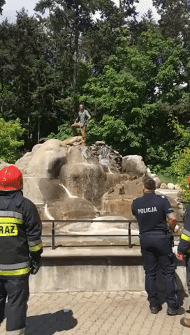 Investigation Launched After Man Wrestles Bear at Warsaw Zoo