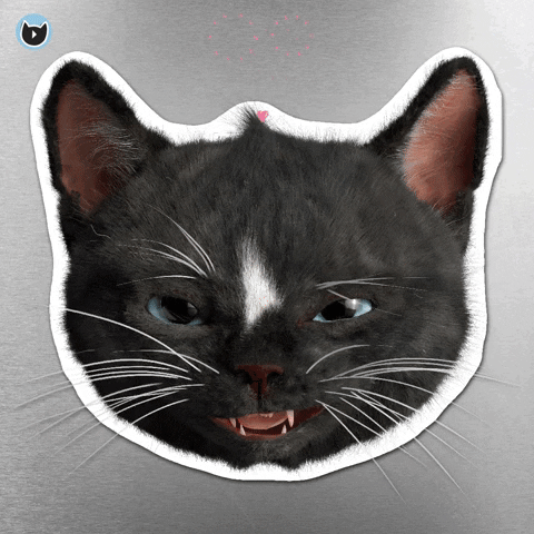 FeliniRocks giphygifmaker giphyattribution funny cats funny cat GIF