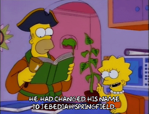 homer simpson GIF