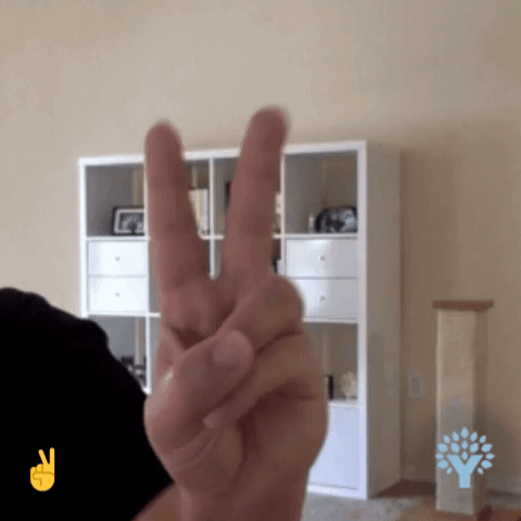 peace victory GIF by You Need a Budget (YNAB)