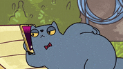 Boris E Rufus Gossip GIF by Belli Studio