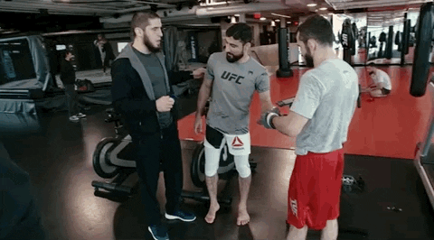 Mixed Martial Arts Mma GIF by UFC