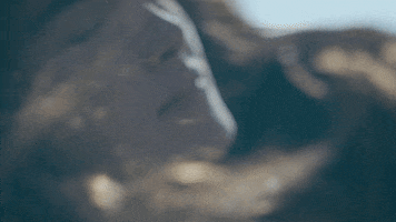 music video love GIF by Downtown Records