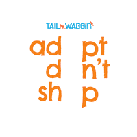 Adoptdontshop Sticker by Tail Waggin'