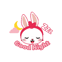 New Year Bunny Sticker by Mediacorp SG