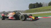 redbullracing france 2019 f1 motorsport GIF