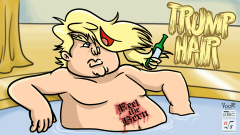 donaldtrump GIF by Switchblade Comb Productions