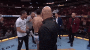 Mixed Martial Arts Sport GIF by UFC