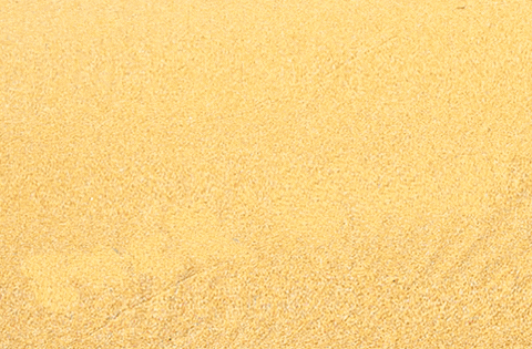 Pop Art GIF by Xinanimodelacra