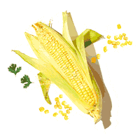 Soul-Origin pumpkin soup veggies soups Sticker