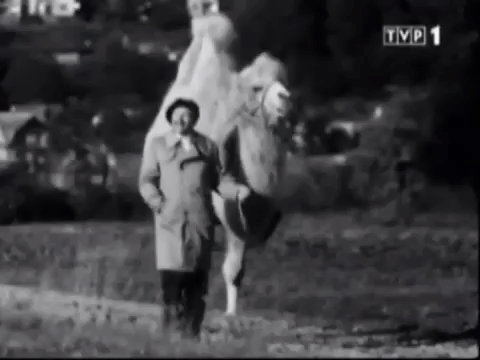 GIF by TVP.PL