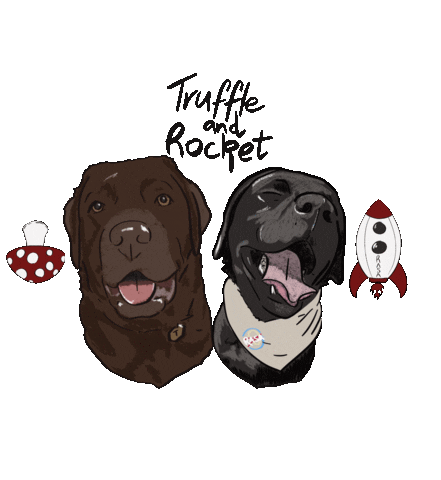 Custompp tr1 truffleandrocket Sticker