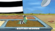season 9 episode 6 GIF by SpongeBob SquarePants