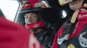 redbullracing france f1 2019 motorsport GIF