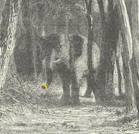 Elephant GIF by GIF IT UP
