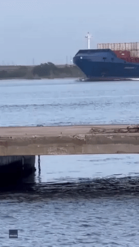 Cargo Boat Gets Fin-tastic Escort Courtesy of Leaping Dolphins