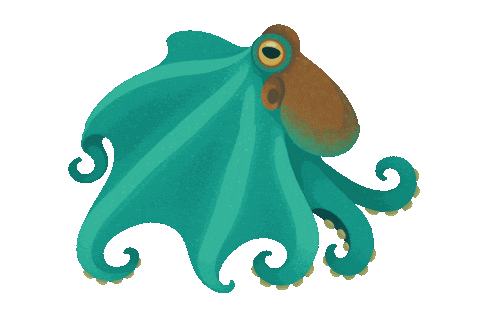 Caribbean Reef Octopus Sticker by OctoNation® The Largest Octopus Fan Club!