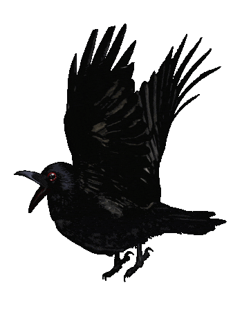 Flapping Salad Fingers Sticker by David Firth