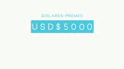 GIF by Jorge