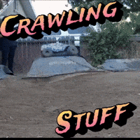 Stuff Crawling GIF